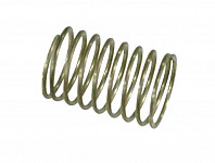 Valve spring