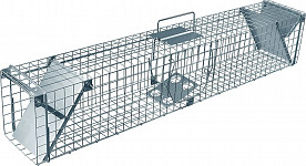 Marten trap