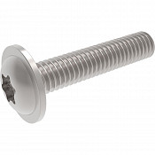 Flange screw