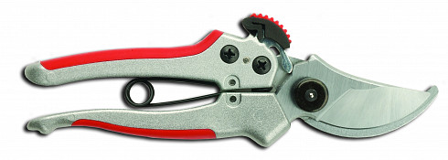 Vineyard shears B7 and B8