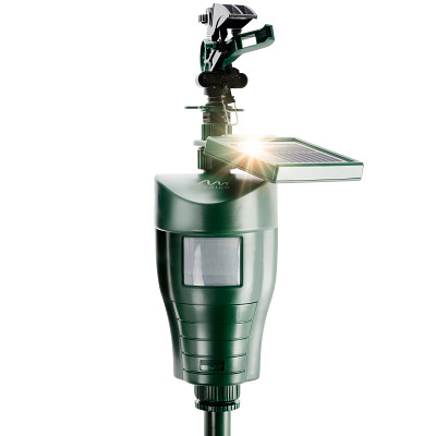 Solar-Powered Motion-Activated Water Sprinkler