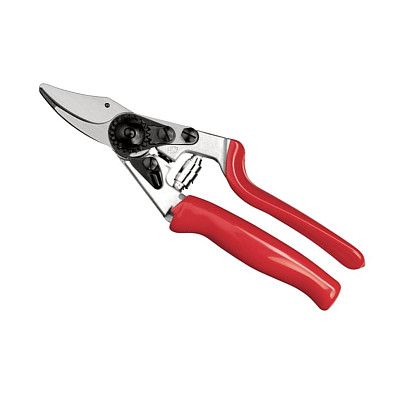 Shears Felco 12