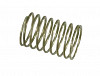 Valve spring