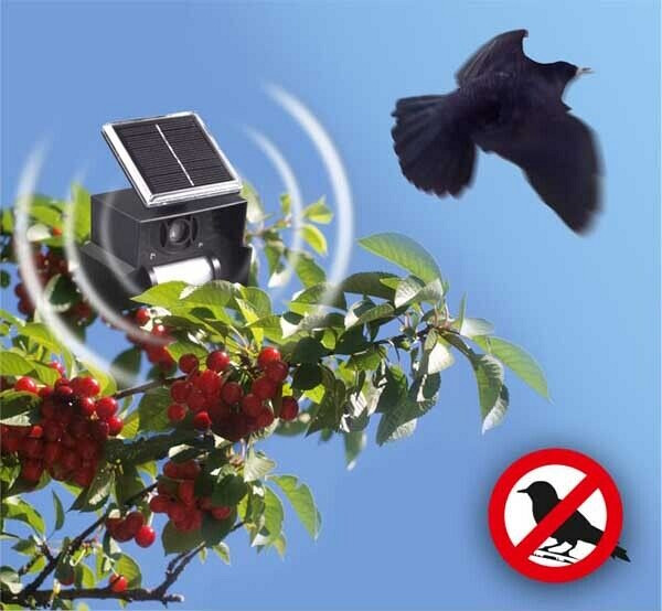 Solar Bird Repellent