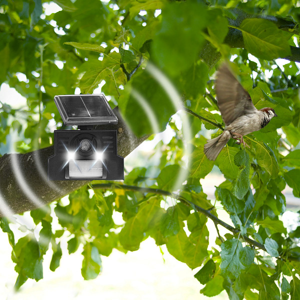 Solar Bird Repellent