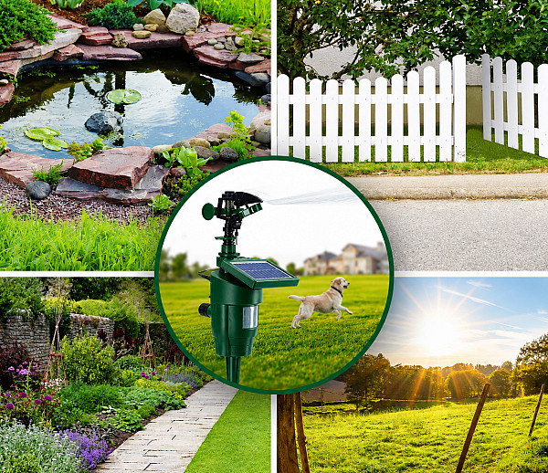 Solar-Powered Motion-Activated Water Sprinkler