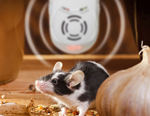 Ultrasonic Repeller for Mice, Ants, and Silverfish