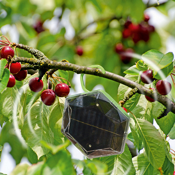 Solar Bird Repellent 360°