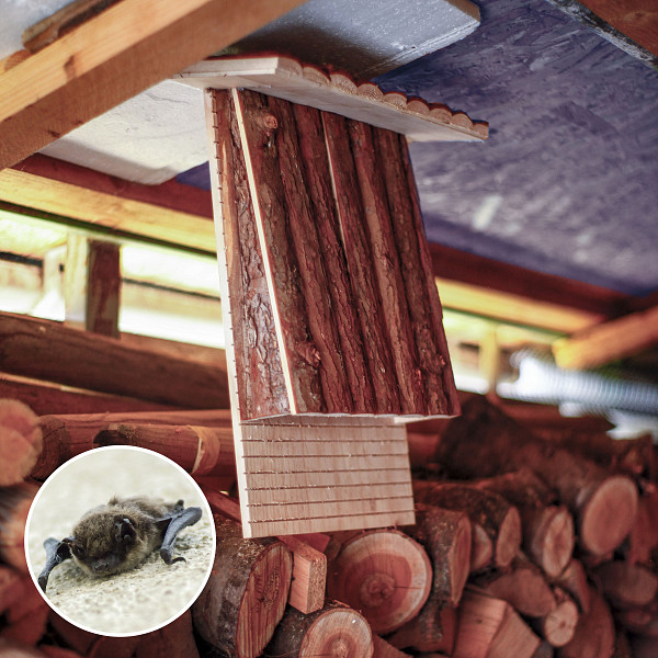 Bat Nesting Box