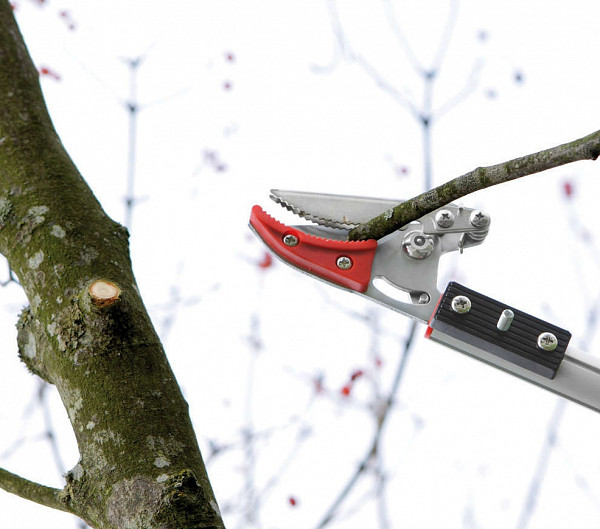Telescopic Pruner B188F7