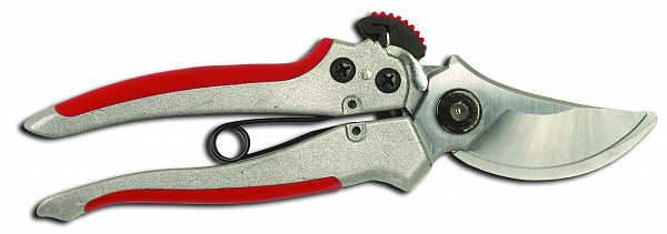 Vineyard shears B7 and B8