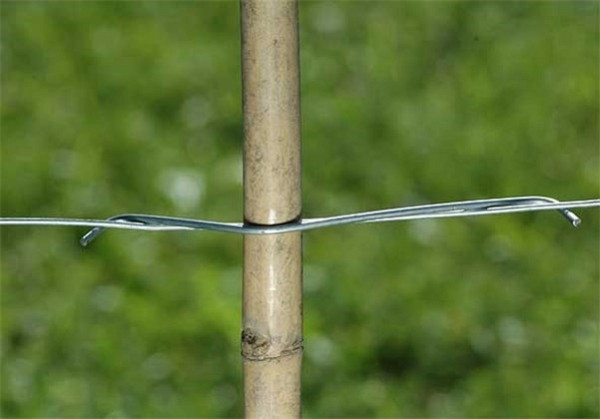 Bamboo poles clip
