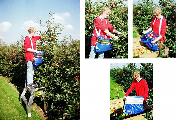 Harvesting box