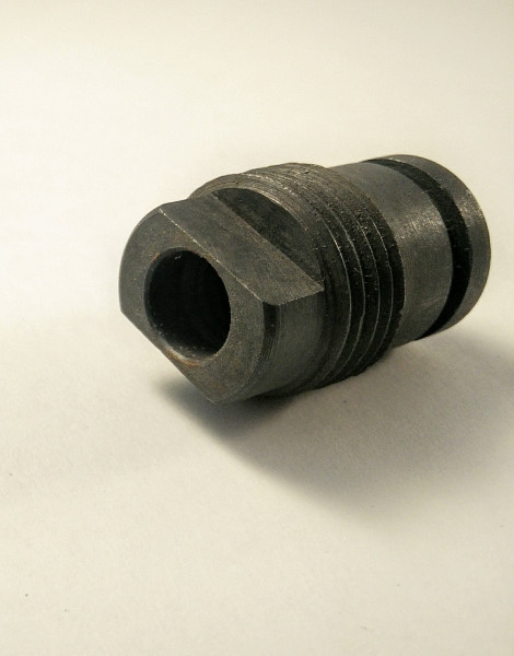 Oil pump screw