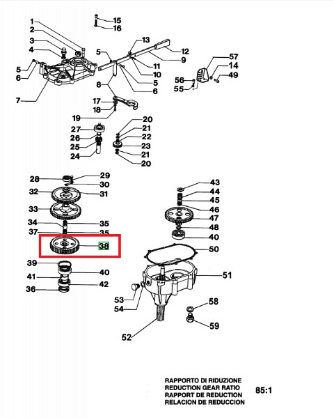 Oil pump screw