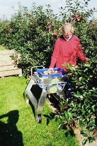 Harvesting box