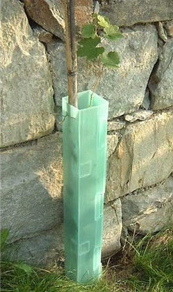 Vine and tree protection – plastic